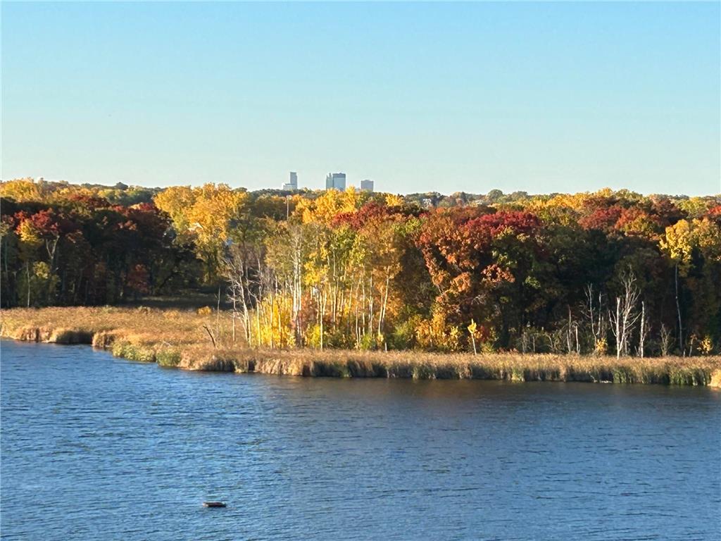 1900 Rush Lake Trail #315 New Brighton MN 55112 7032646 image7