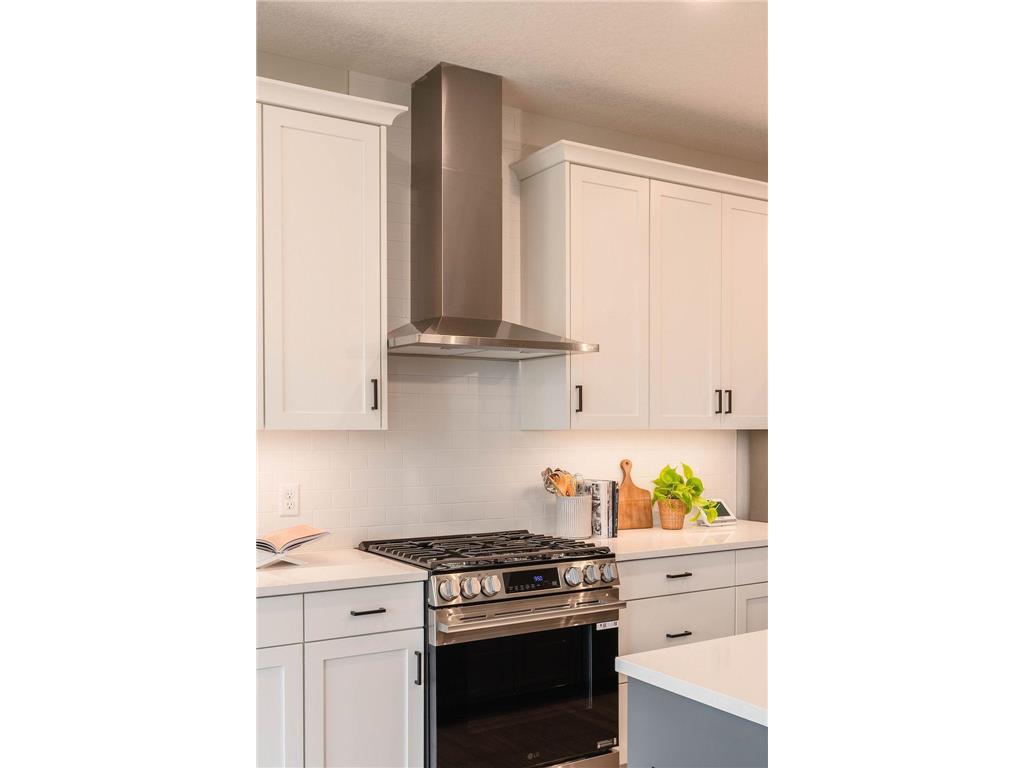 19003 Cloverleaf Way Farmington MN 55024 6777263 image26