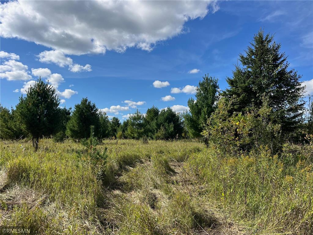 190052701 480th Street Palisade MN 56469 6607019 image1