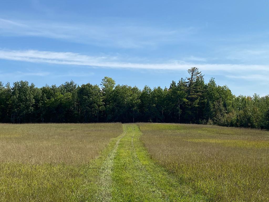 1901 Sheils Road Twin Lakes Twp MN 55718 6431090 image1