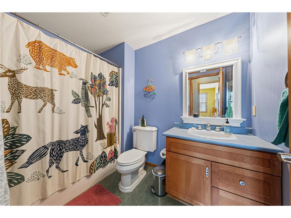 1904 Lake Drive Northfield MN 55057 7072017 image37