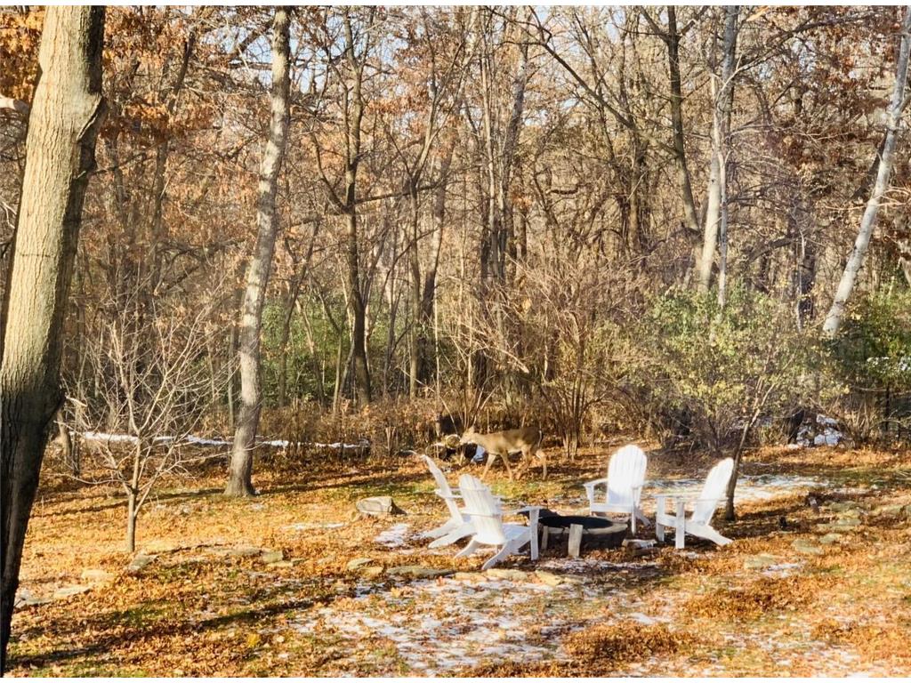 1905 Glendale Hills Drive NE Rochester MN 55906 7033296 image27