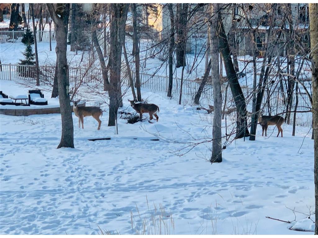 1905 Glendale Hills Drive NE Rochester MN 55906 7033296 image30