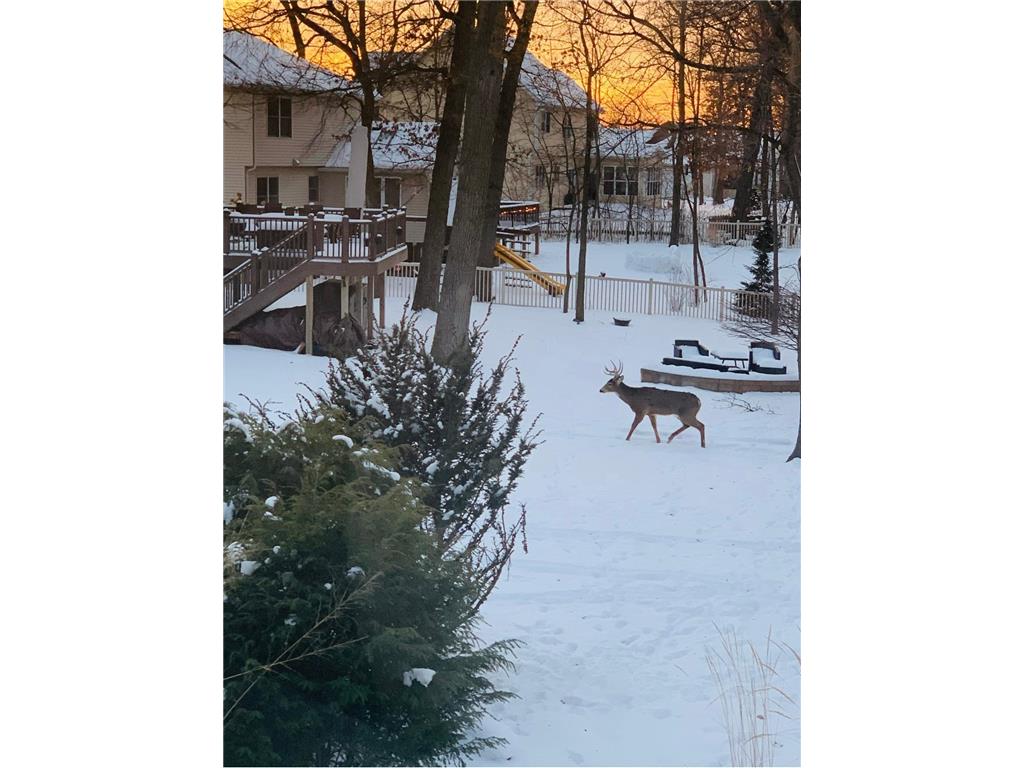 1905 Glendale Hills Drive NE Rochester MN 55906 7033296 image31