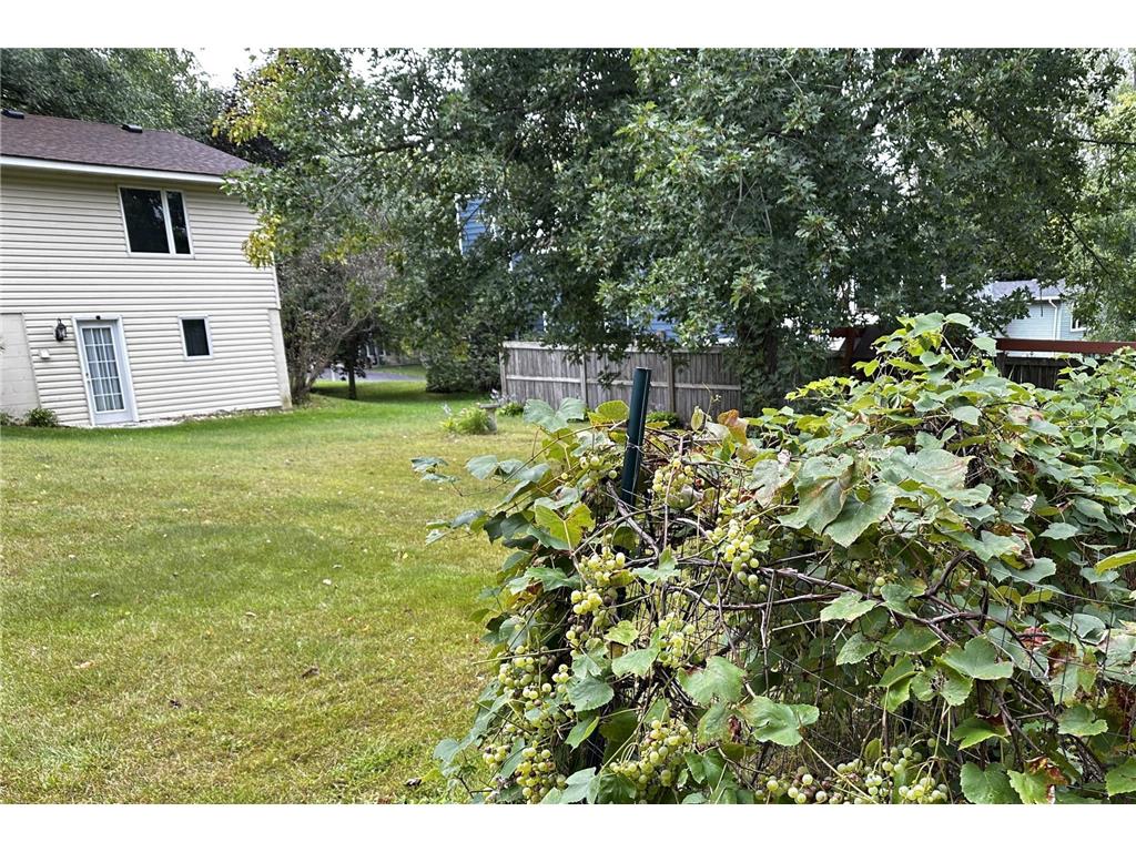 19055 Jordan Trail Lakeville MN 55044 7072268 image23