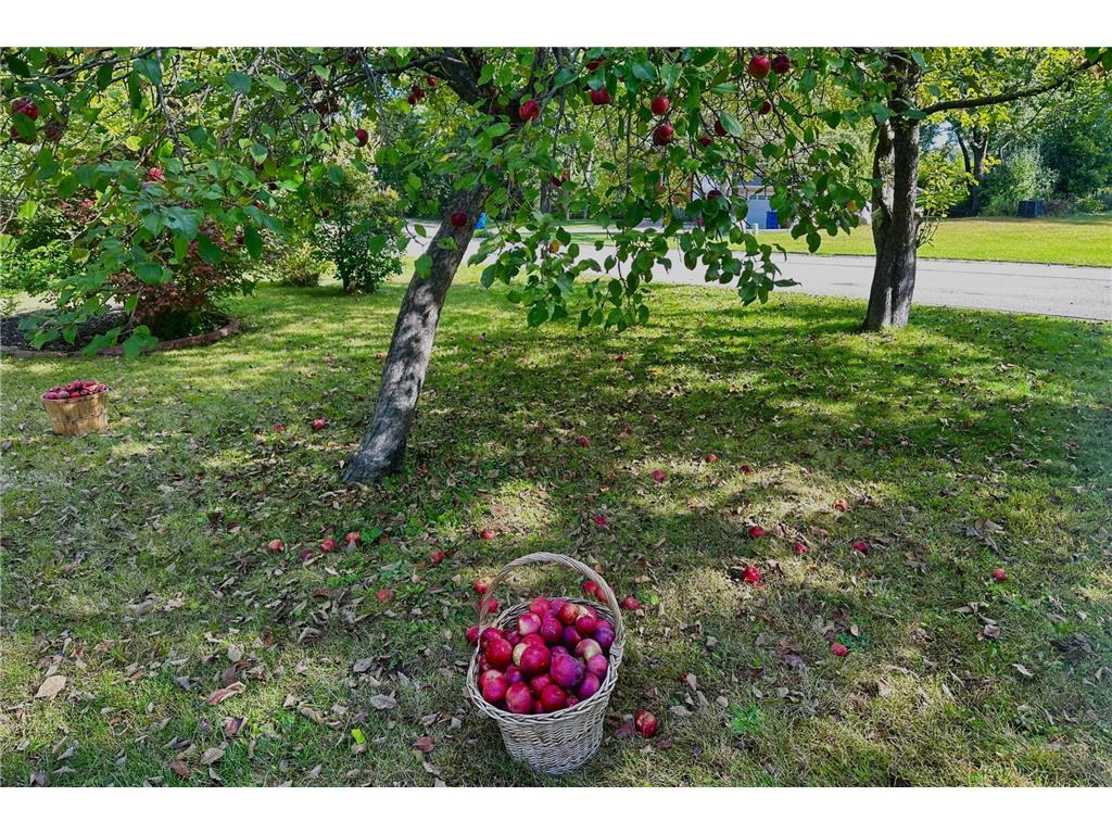 19055 Jordan Trail Lakeville MN 55044 7072268 image27