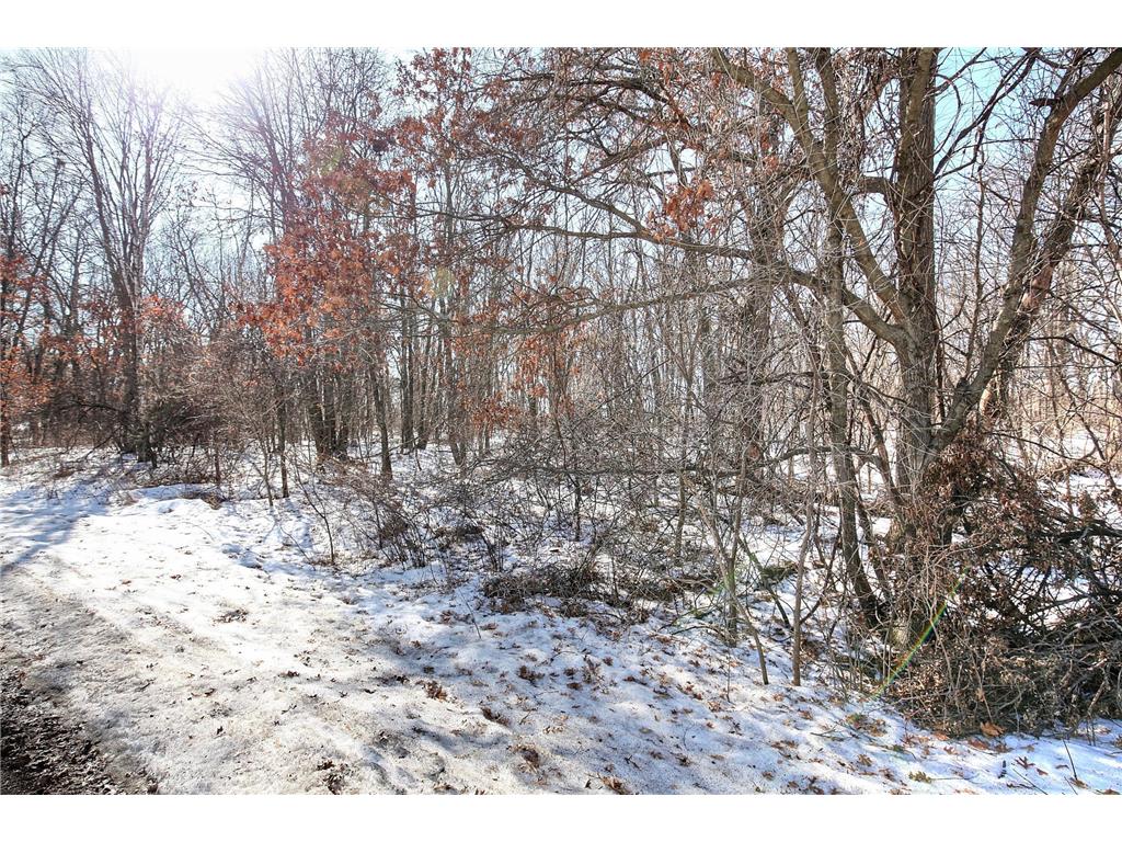 19062 Heather St NW Oak Grove MN 55011 7021472 image4