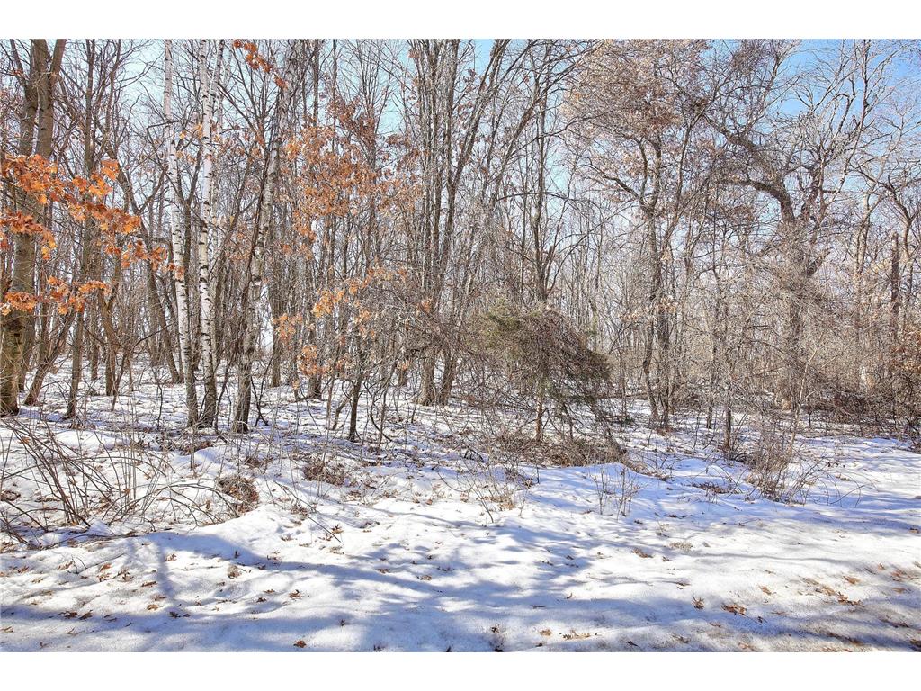 19062 Heather St NW Oak Grove MN 55011 7021472 image5