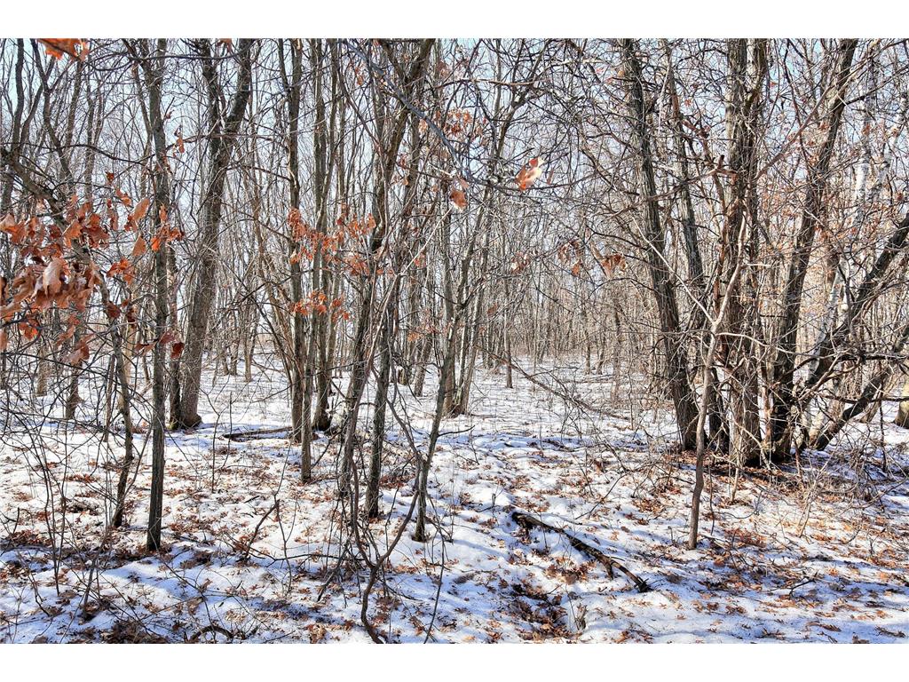 19062 Heather St NW Oak Grove MN 55011 7021472 image6