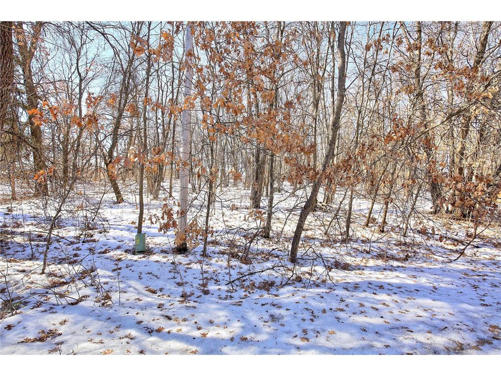 19062 Heather St NW Oak Grove MN 55011 7021472 image7