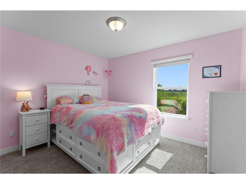 1907 Meridian Curve Carver MN 55315 7097713 image41