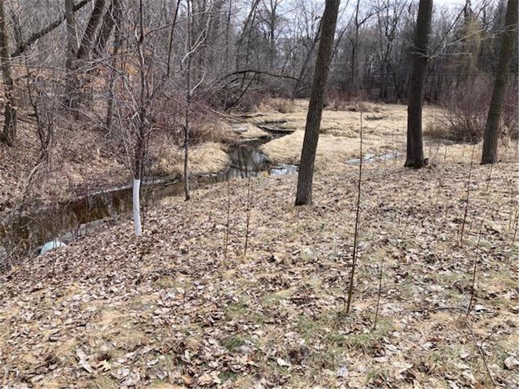 19075 Eaglewood Road Lynden Twp MN 55320 7047122 image29