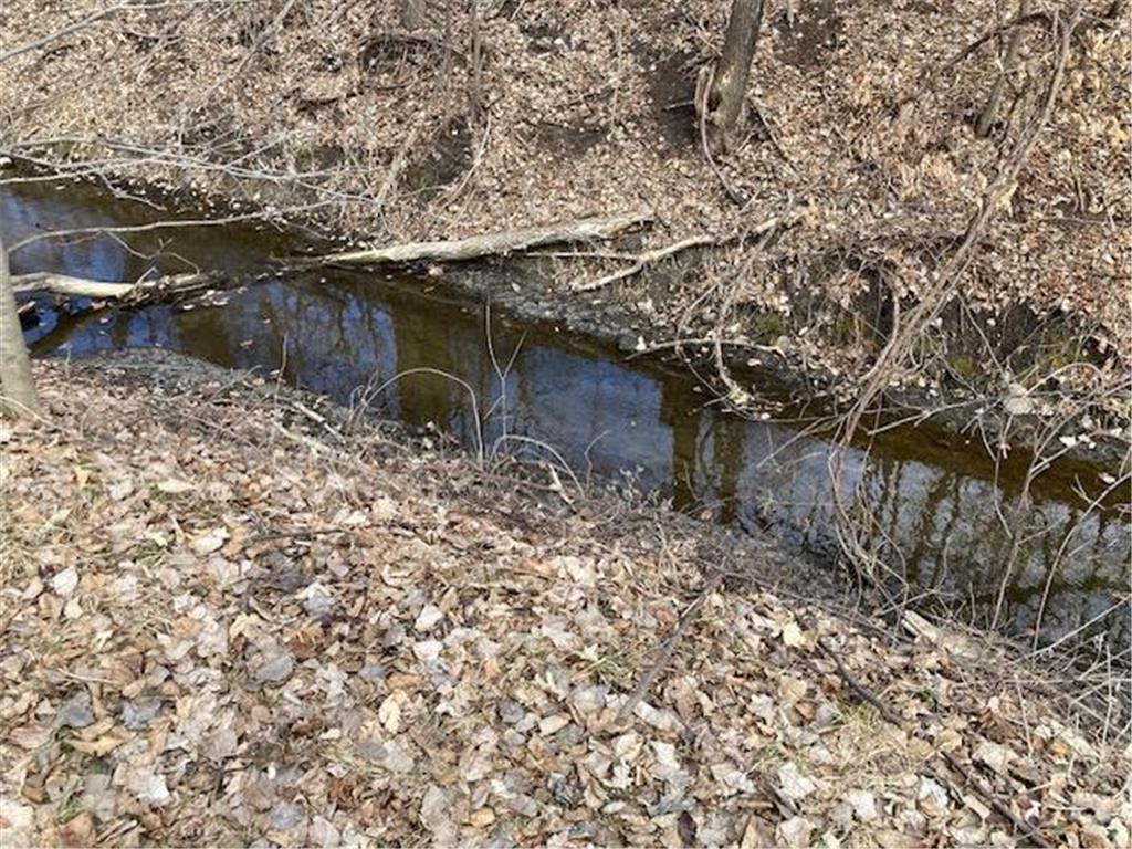 19075 Eaglewood Road Lynden Twp MN 55320 7047122 image30