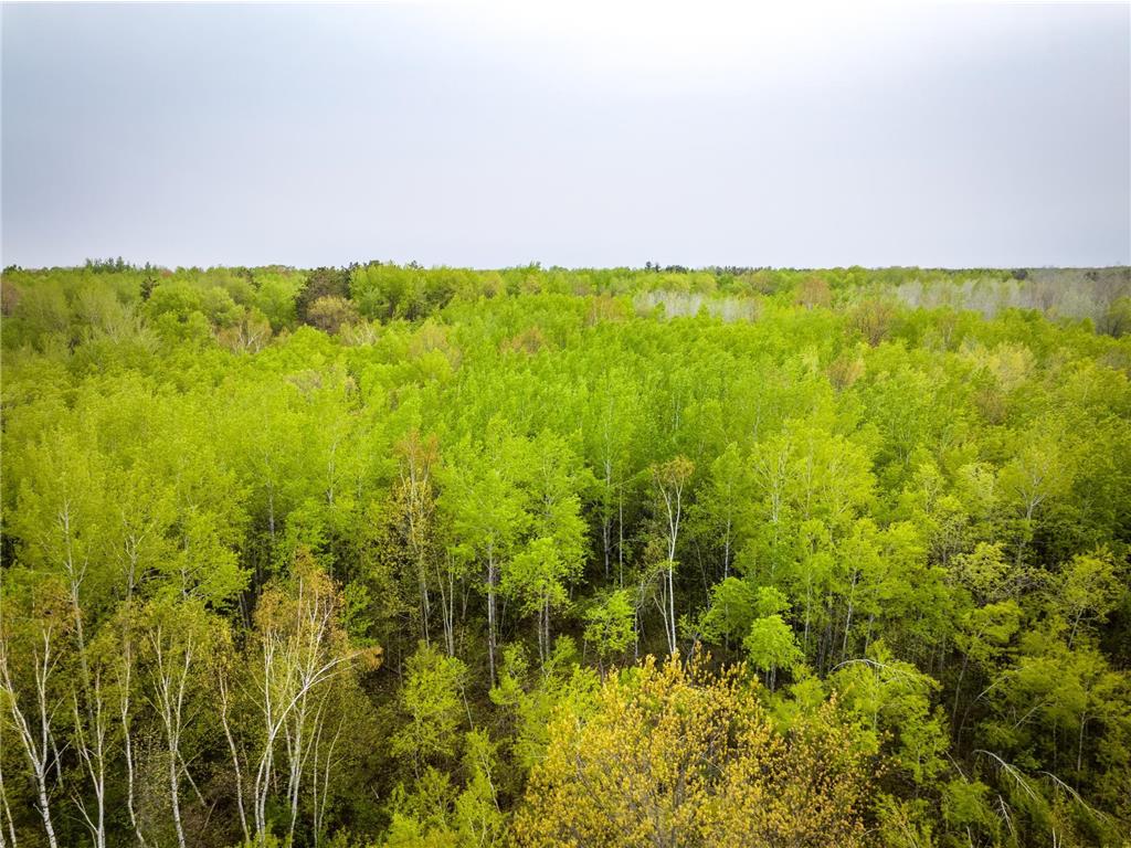 1909 County Hwy 61 Sandstone Twp MN 55072 7003540 image10