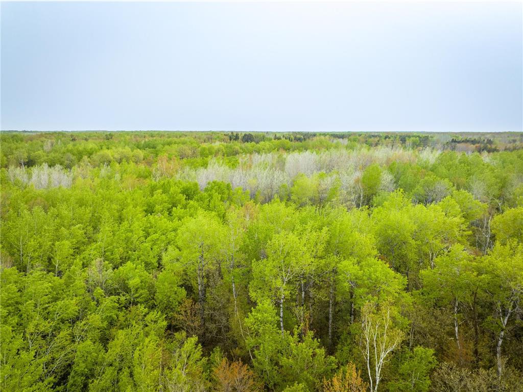 1909 County Hwy 61 Sandstone Twp MN 55072 7003540 image12
