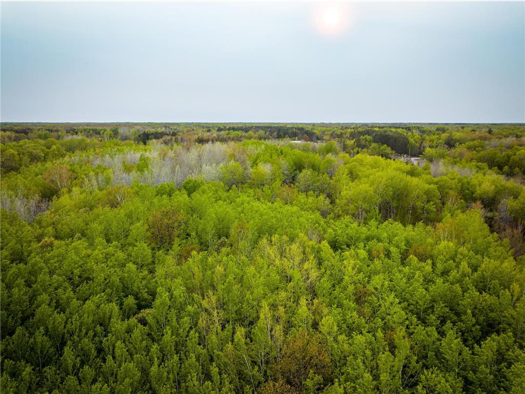 1909 County Hwy 61 Sandstone Twp MN 55072 7003540 image7