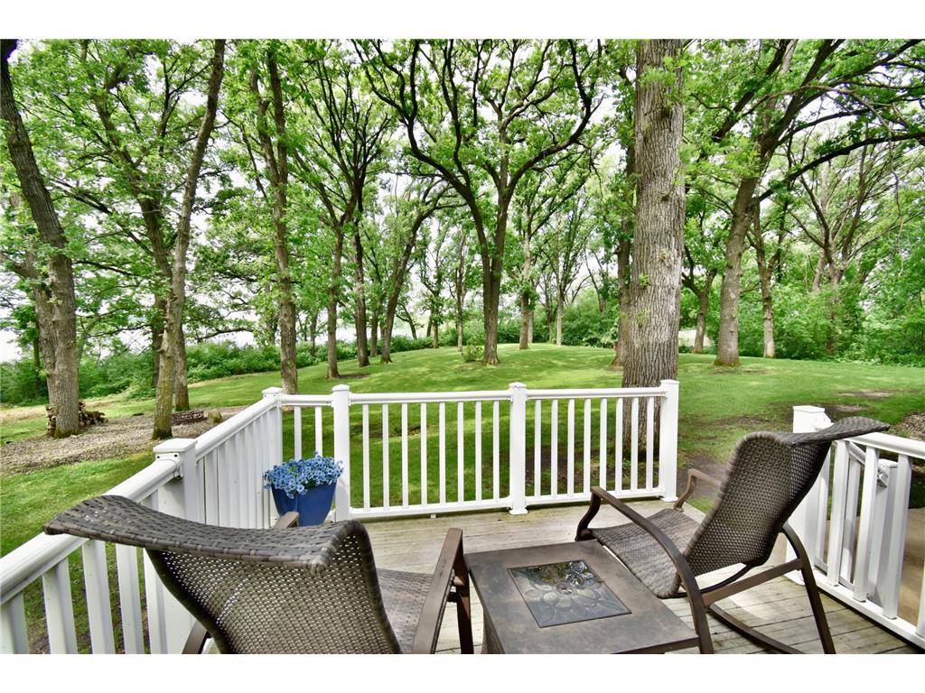 19093 610th Avenue Litchfield MN 55355 - Mud Lake 7085217 image45