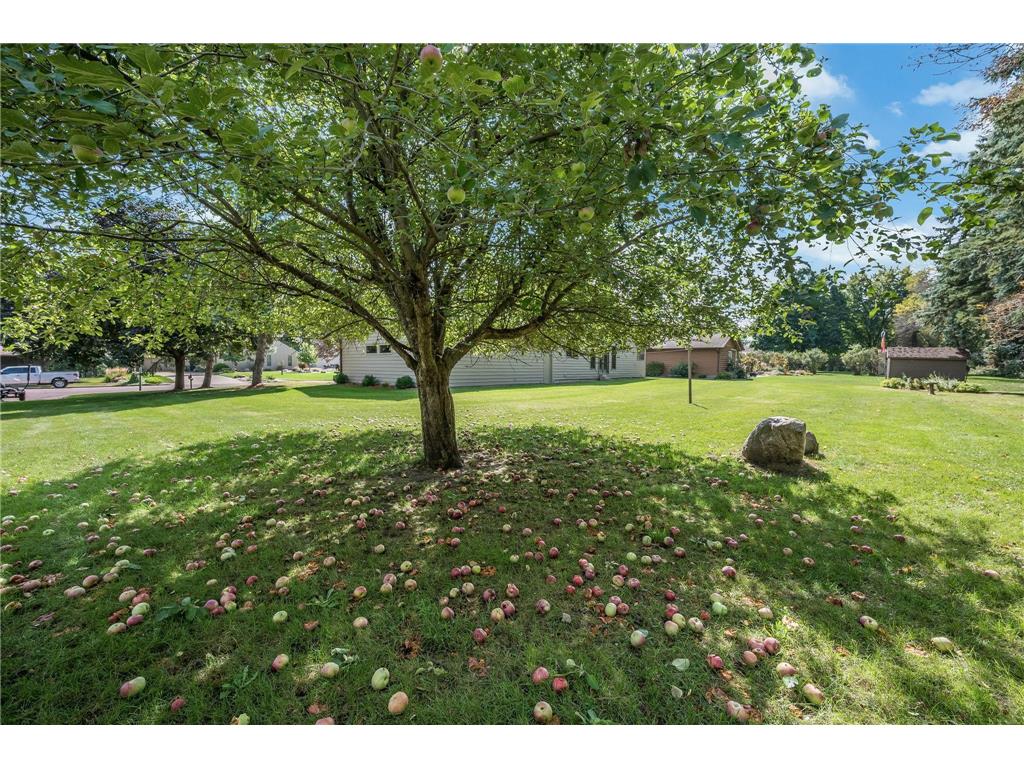 1910 Knollwood Drive Fairmont MN 56031 6788486 image45