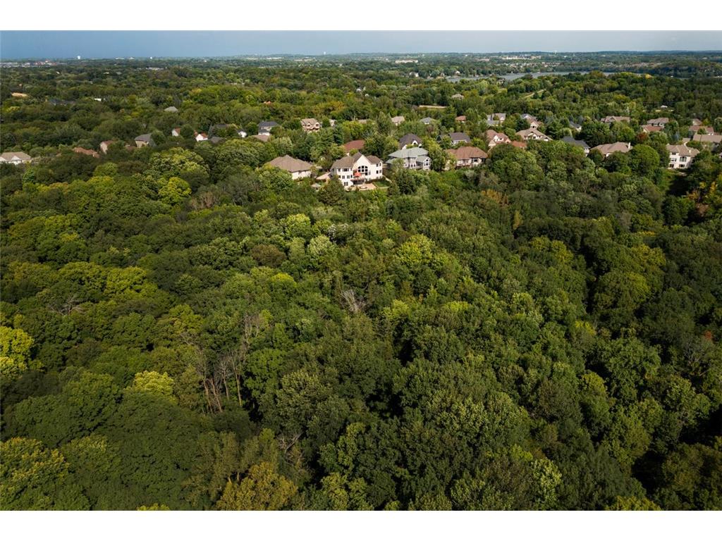 19115 Vogel Farm Trail Eden Prairie MN 55347 6671357 image5