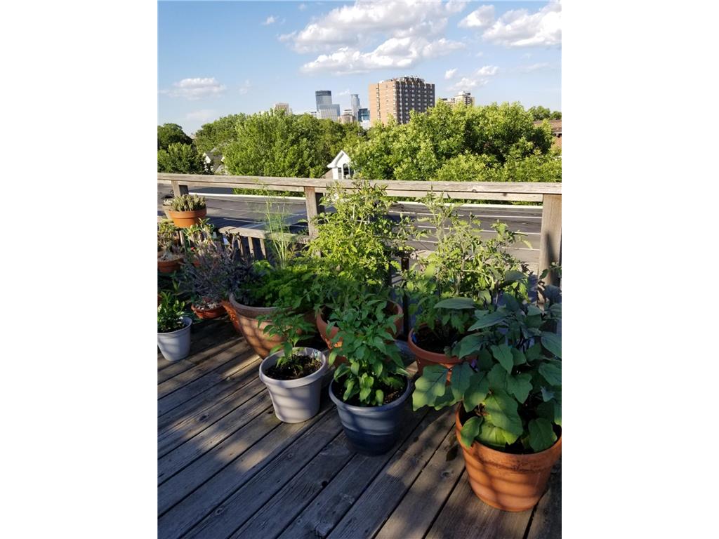 1912 Dupont Avenue S #405 Minneapolis MN 55403 7043715 image13