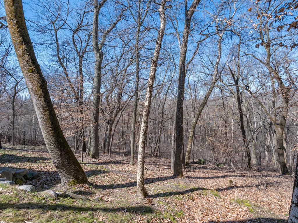 1912 Linner Woods Court Minnetonka MN 55391 7053484 image49