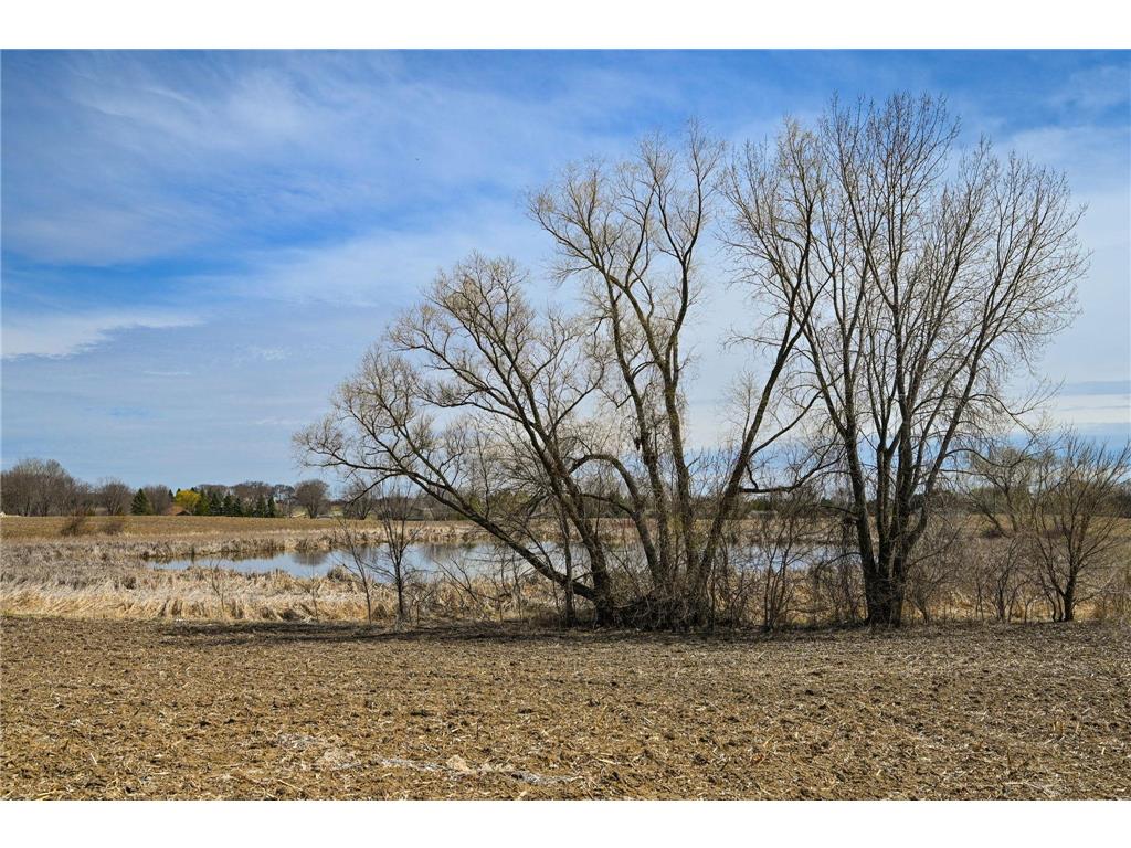 19125 Harmony Avenue Rogers MN 55374 7058915 image40