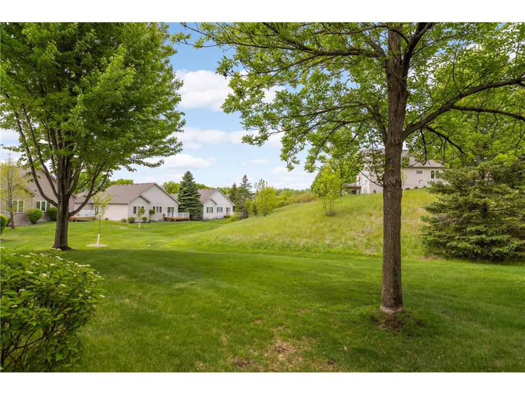 19134 Inndale Drive Lakeville MN 55044 7079152 image23