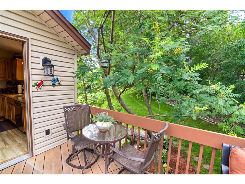 19135 Maple Leaf Drive Eden Prairie MN 55346 7106530 image36