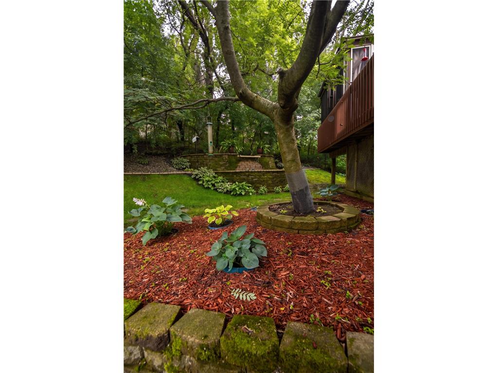 19135 Maple Leaf Drive Eden Prairie MN 55346 7106530 image45