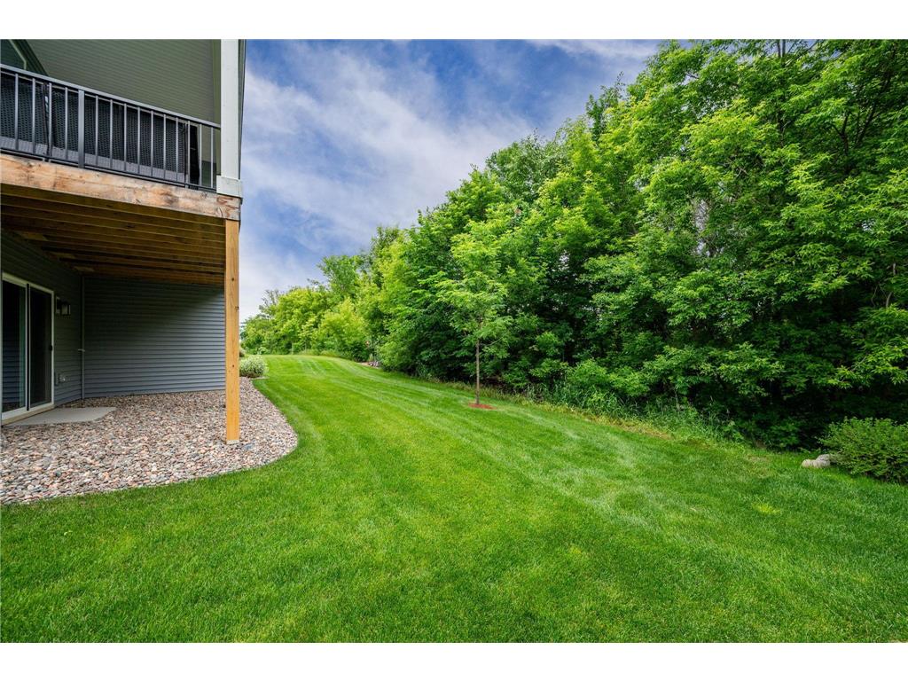 19136 Grass Lake Trail Rogers MN 55374 7097906 image30