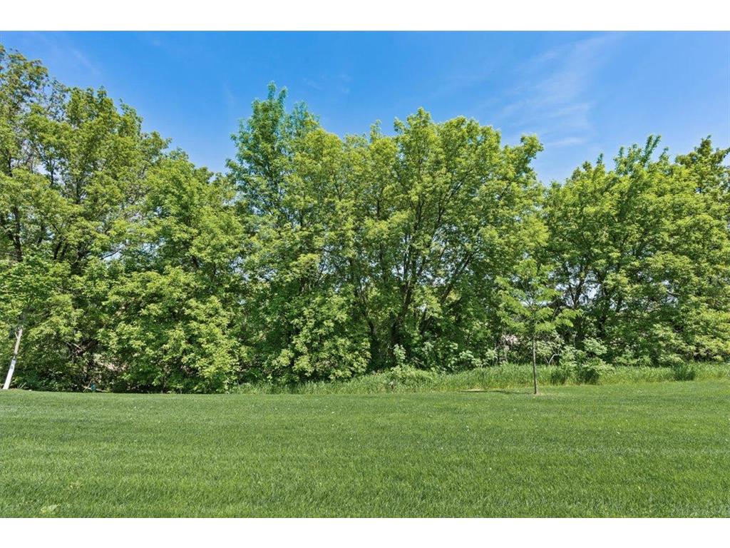 19142 Grass Lake Trail Rogers MN 55374 7083440 image42