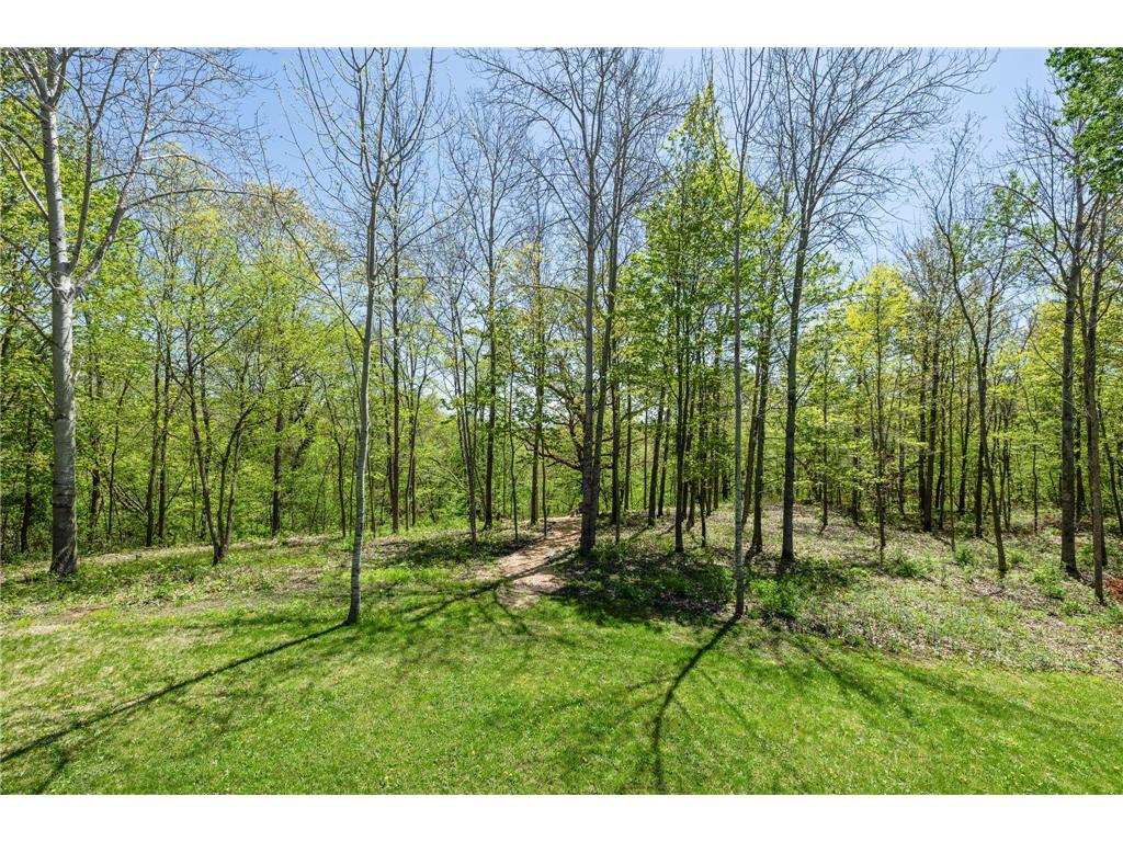 19151 Shamrock Lane Shafer MN 55074 7075330 image68