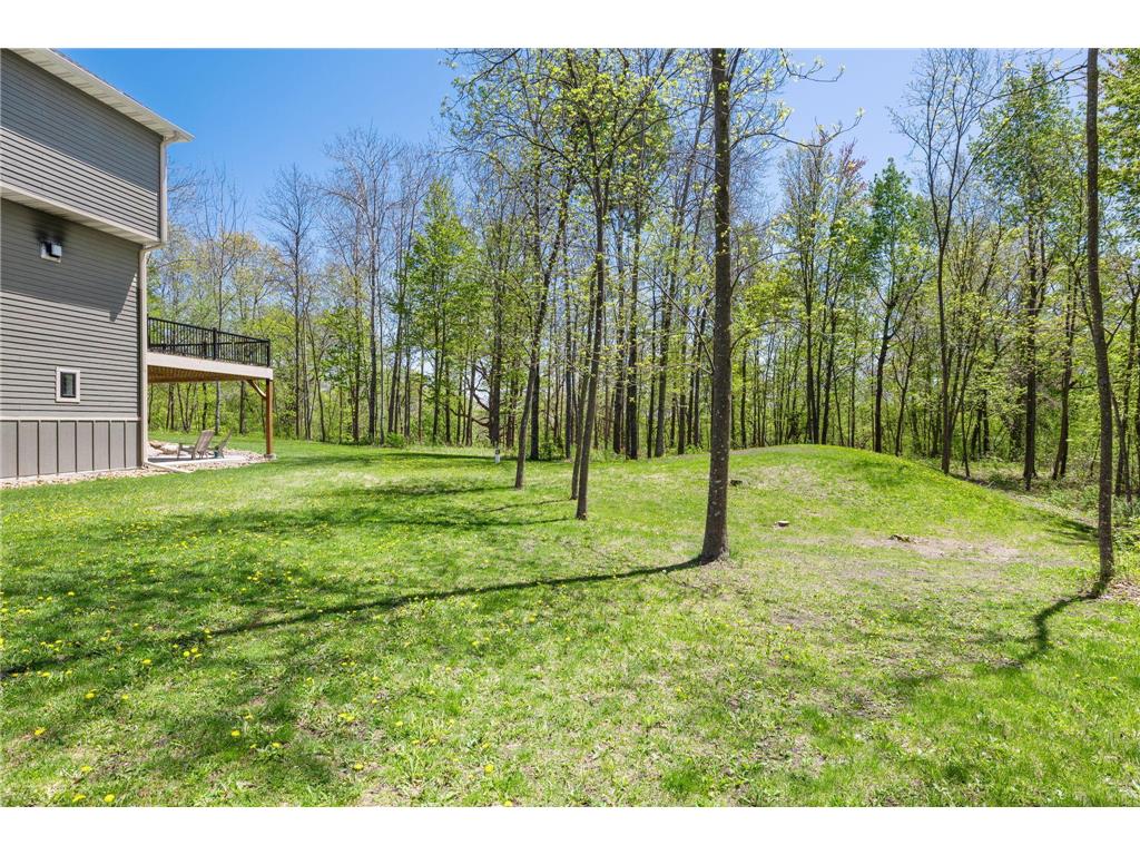 19151 Shamrock Lane Shafer MN 55074 7075330 image71