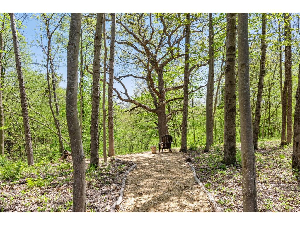 19151 Shamrock Lane Shafer MN 55074 7075330 image76