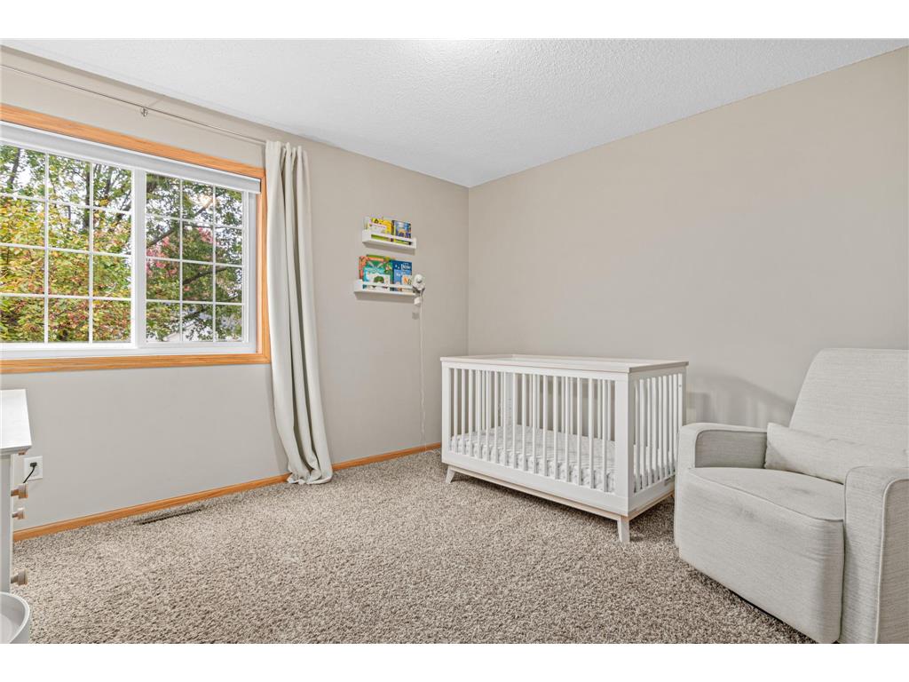 19158 Everest Path Farmington MN 55024 6807995 image19