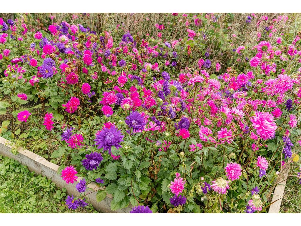 1916 9 1/2 Avenue SE Rochester MN 55904 6785133 image5