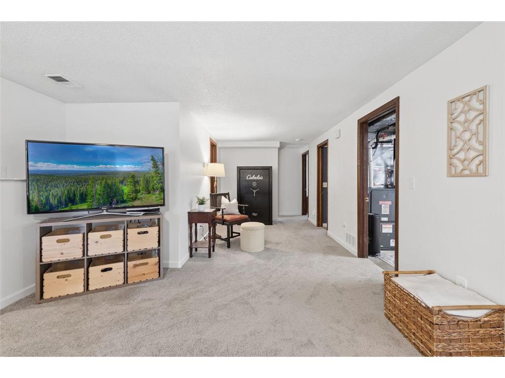 1916 Evergreen Echo Woodbury MN 55125 7052779 image22