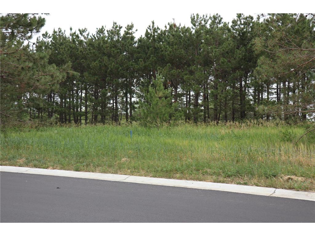 1917 Long Pine Drive Detroit Lakes MN 56501 6325169 image5