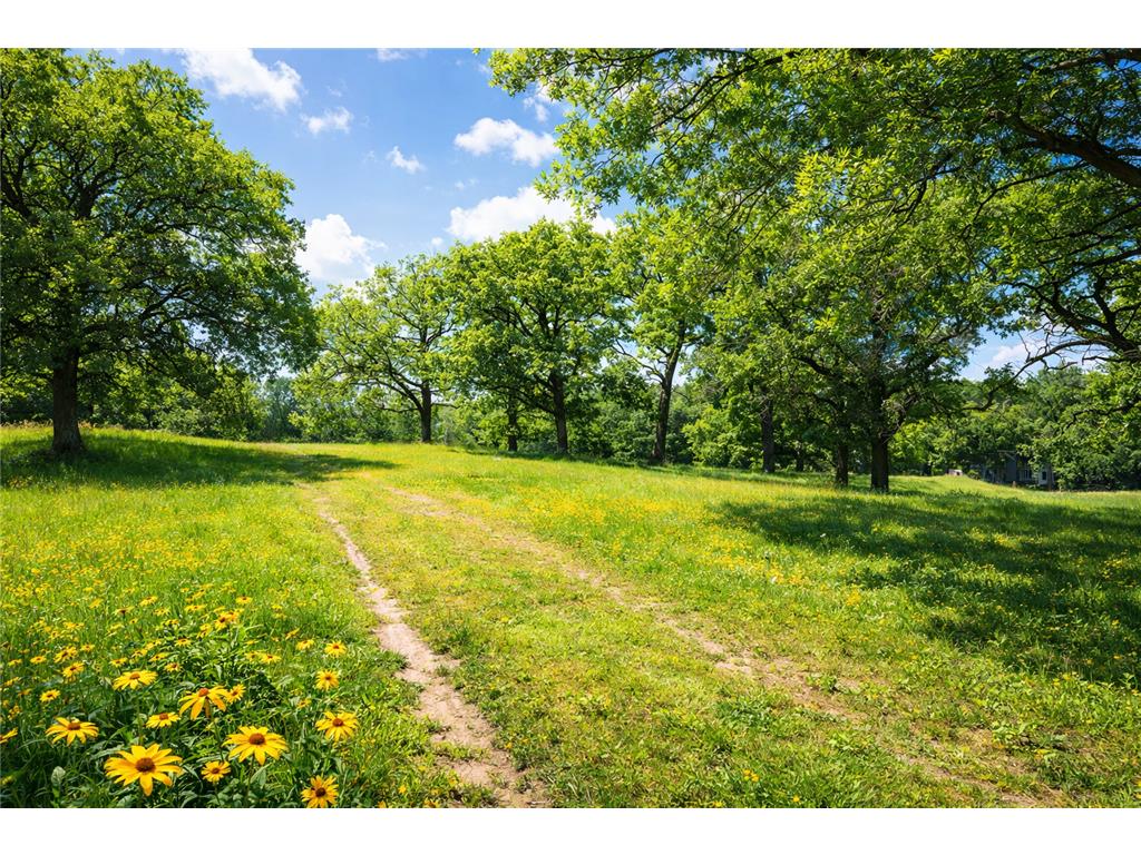 19176 Judicial Road Credit River Twp MN 55372 7096259 image11