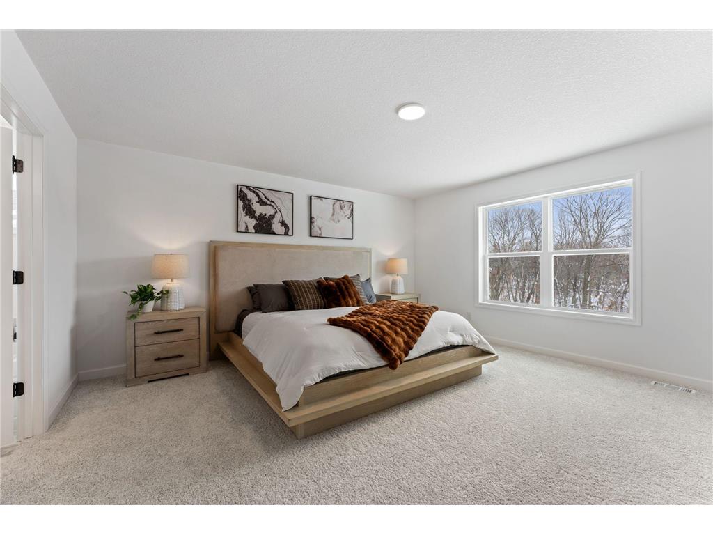 1918 Timber Lane Carver MN 55315 7070322 image19