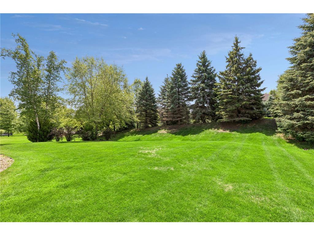 19182 Ismay Court Lakeville MN 55044 7058256 image39