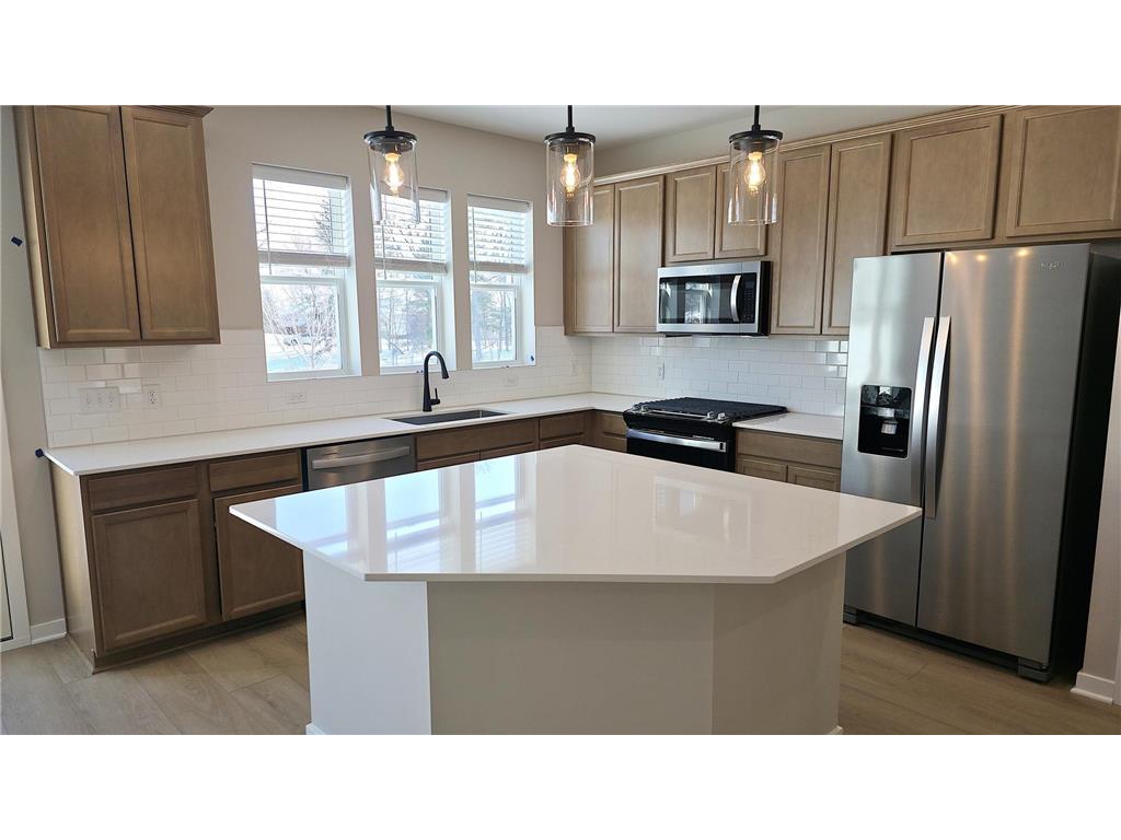 19196 Goldenrod Trail Corcoran MN 55374 7018236 image1