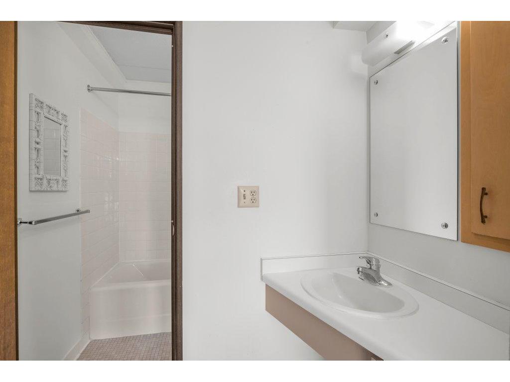 1920 S 1st Street #1106 Minneapolis MN 55454 6812061 image7