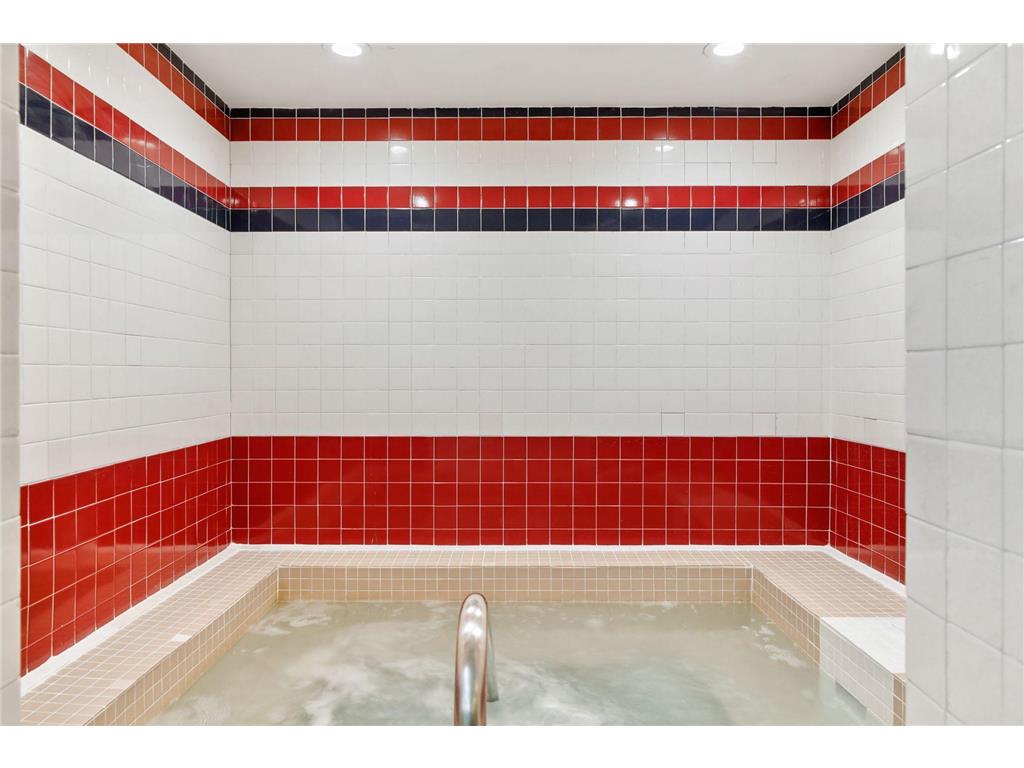 1920 S 1st Street #1207 Minneapolis MN 55454 6788456 image36