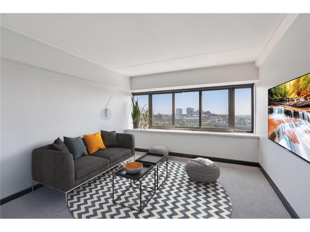 1920 S 1st Street #1207 Minneapolis MN 55454 6788456 image5