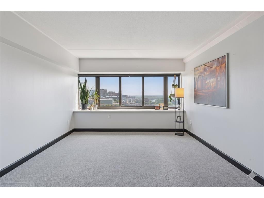 1920 S 1st Street #1207 Minneapolis MN 55454 6788456 image6