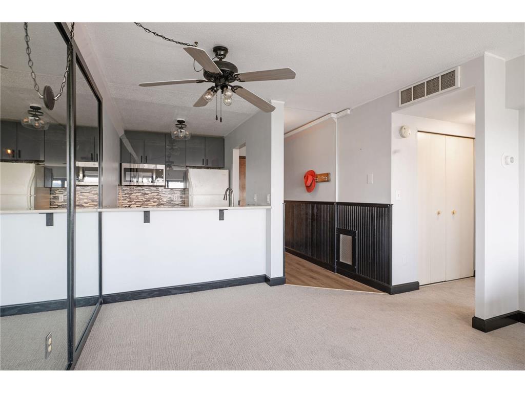 1920 S 1st Street #1207 Minneapolis MN 55454 6788456 image8