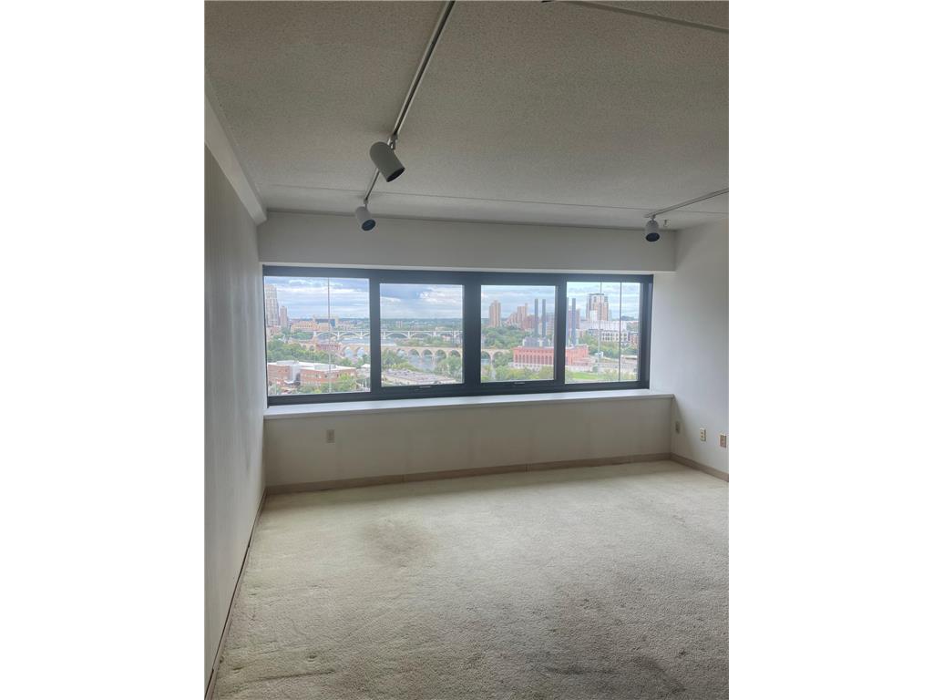 1920 S 1st Street #1302 Minneapolis MN 55454 6775070 image6