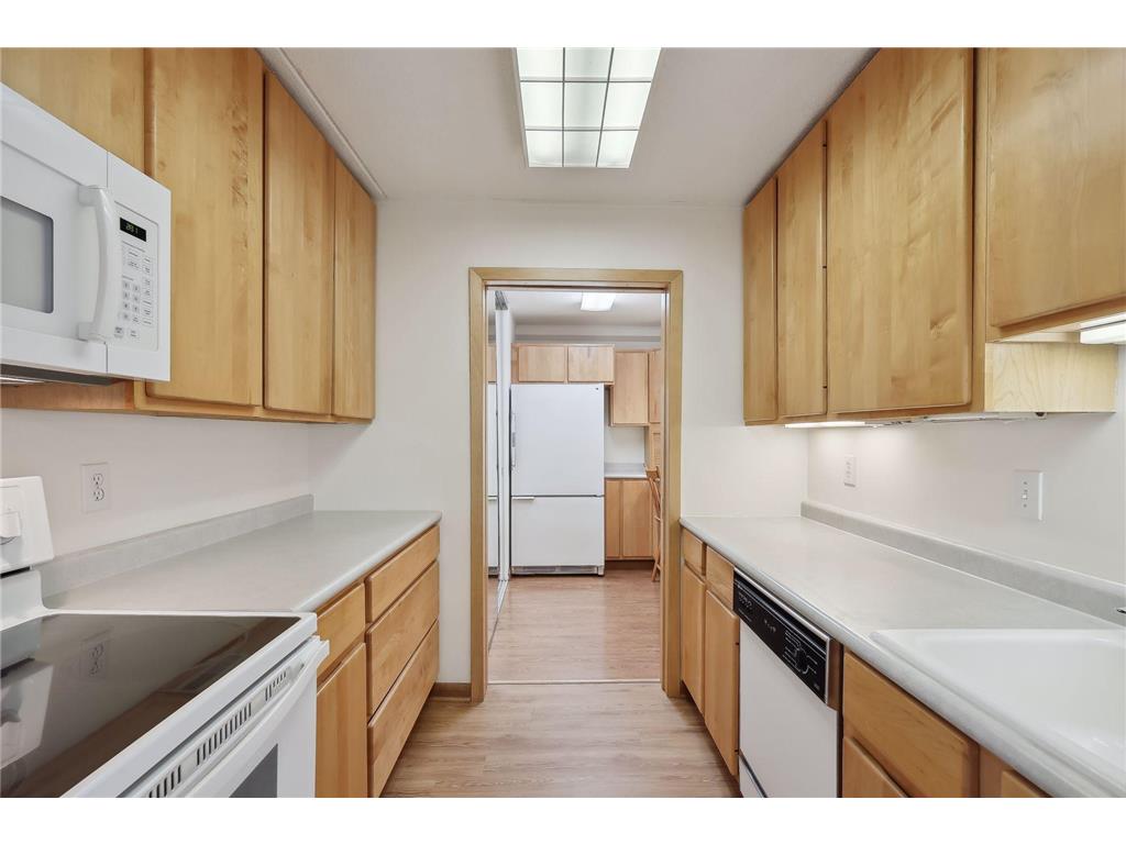 1920 S 1st Street #1406 Minneapolis MN 55454 6405802 image1