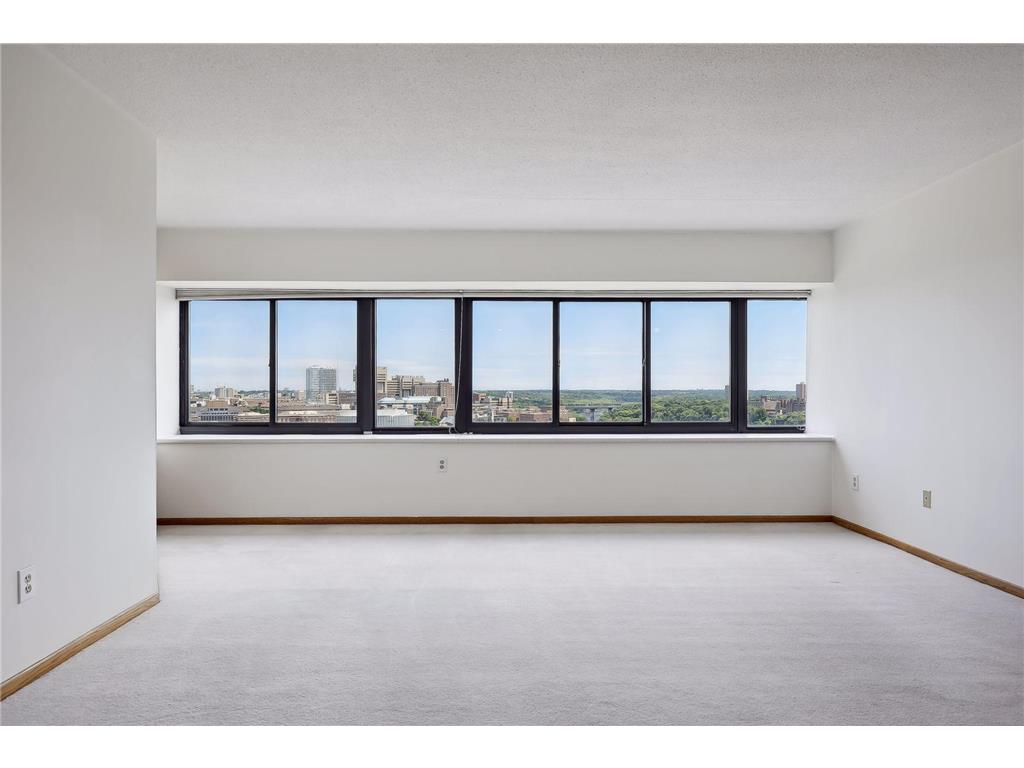 1920 S 1st Street #1406 Minneapolis MN 55454 6405802 image3
